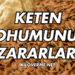 Keten Tohumu Zararları Nelerdir