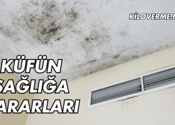 Küfün Sağlığa Zararları Nelerdir