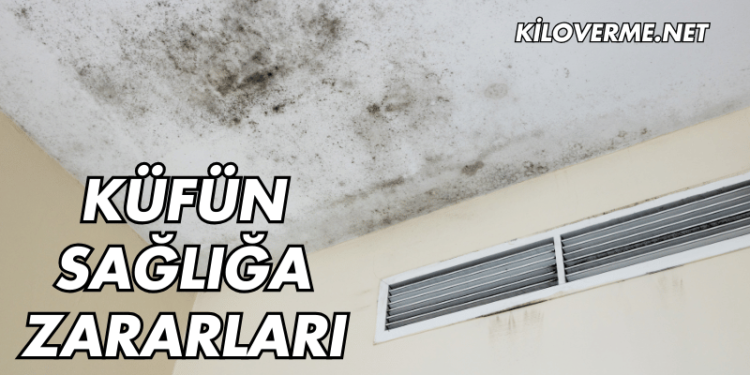 Küfün Sağlığa Zararları Nelerdir