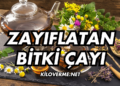 Zayıflatan Bitki Çayı: Sağlıklı Zayıflama Yöntemi