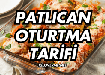 Patlıcan Oturtma Tarifi