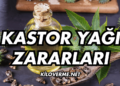 Kastor Yağı Zararları Nelerdir?