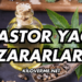 Kastor Yağı Zararları Nelerdir?