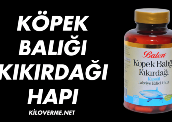 Köpek Balığı Kıkırdağı Hapı Faydaları Nelerdir