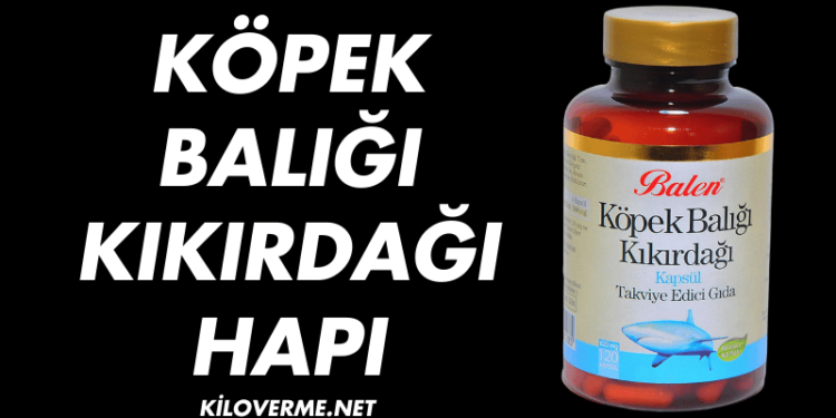 Köpek Balığı Kıkırdağı Hapı Faydaları Nelerdir