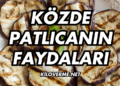 Közde Patlıcanın Faydaları Nelerdir