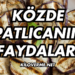 Közde Patlıcanın Faydaları Nelerdir