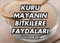 Kuru Mayanın Bitkilere Faydaları