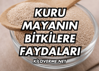 Kuru Mayanın Bitkilere Faydaları