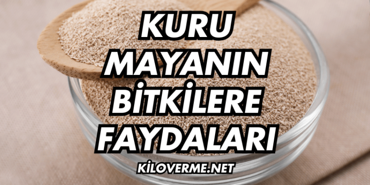 Kuru Mayanın Bitkilere Faydaları