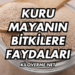 Kuru Mayanın Bitkilere Faydaları