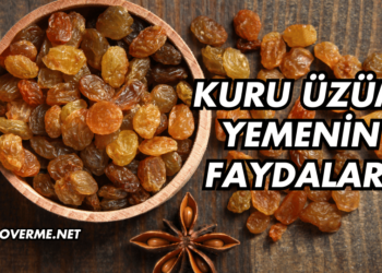 Kuru Üzüm Yemenin Faydaları Nelerdir?