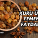Kuru Üzüm Yemenin Faydaları Nelerdir?