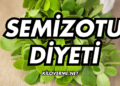Semizotu Diyeti Nedir? Nasıl Yapılır?