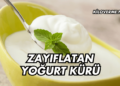 Zayıflatan Yoğurt Kürü ile Kilo Verme