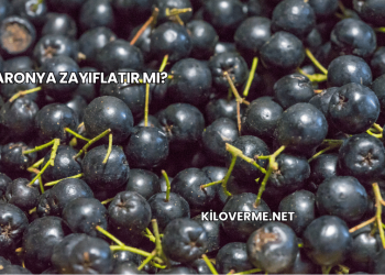 Aronya Zayıflatır mı?
