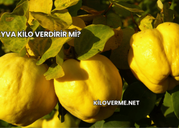 Ayva Kilo Verdirir mi?