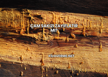 Çam Sakızı Zayıflatır mı?