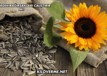 Çekirdek Bağırsakları Çalıştırır mı