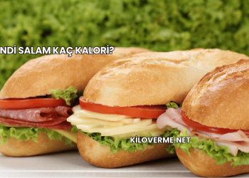 Hindi Salam Kaç Kalori?