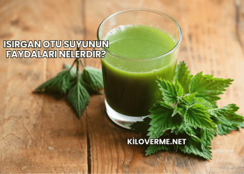 Isırgan Otu Suyunun Faydaları Nelerdir?