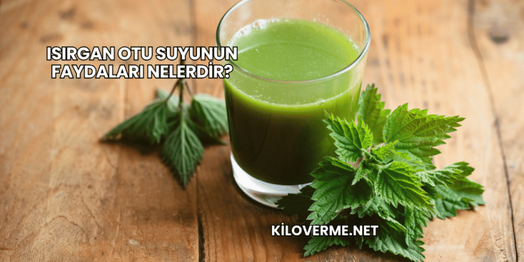 Isırgan Otu Suyunun Faydaları Nelerdir?