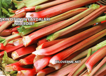 Işkın Otunun Faydaları Nelerdir?