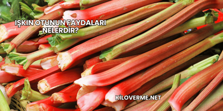 Işkın Otunun Faydaları Nelerdir?