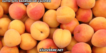 Kayısı Suyu Bağırsakları Çalıştırır mı?