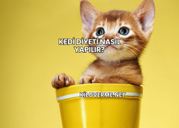 Kedi Diyeti Nasıl Yapılır?