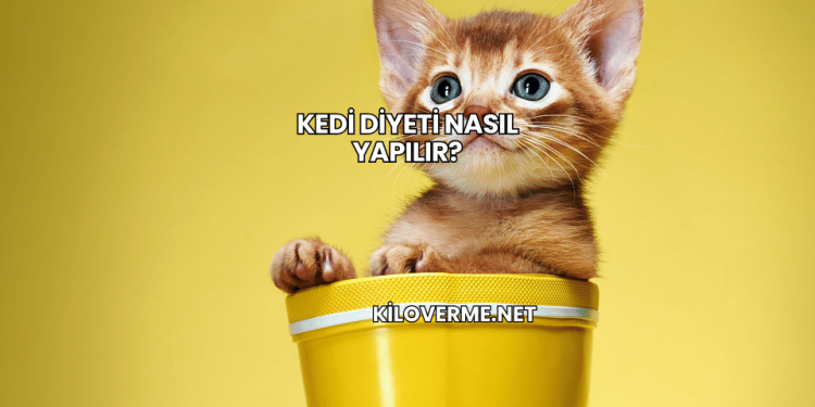 Kedi Diyeti Nasıl Yapılır?