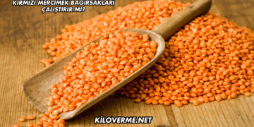 Kırmızı Mercimek Bağırsakları Çalıştırır mı?