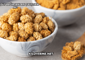 Kuru Dut Bağırsakları Çalıştırır mı?