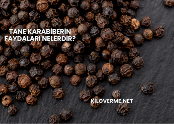 Tane Karabiberin Faydaları Nelerdir?