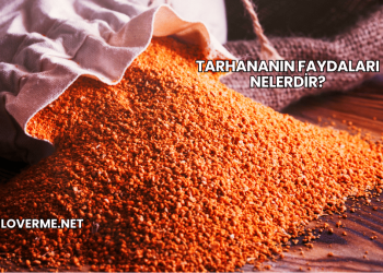 Tarhananın Faydaları Nelerdir?