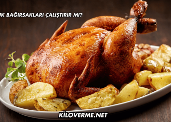 Tavuk Bağırsakları Çalıştırır mı?