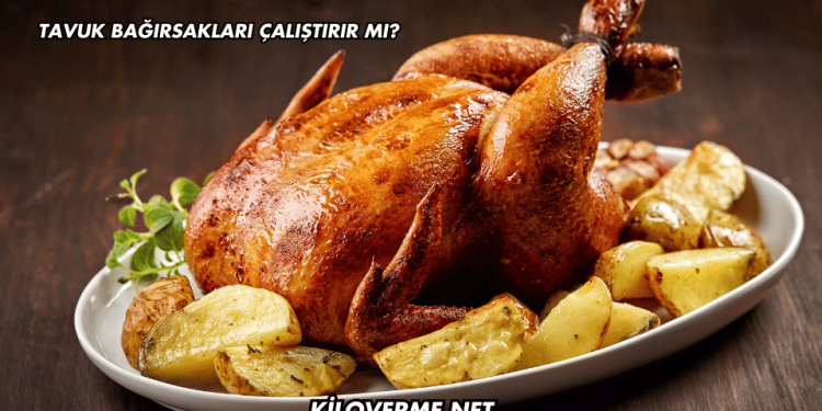 Tavuk Bağırsakları Çalıştırır mı?
