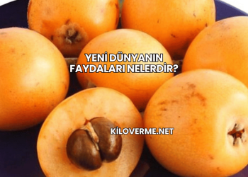 Yeni Dünyanın Faydaları Nelerdir?