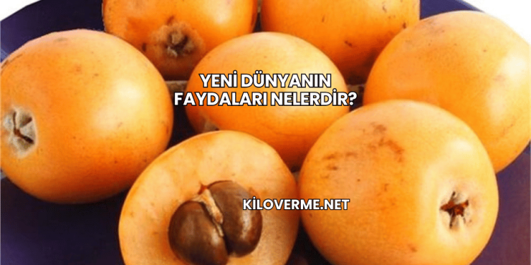 Yeni Dünyanın Faydaları Nelerdir?