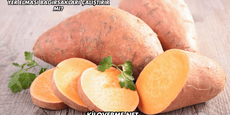 Yer Elması Bağırsakları Çalıştırır mı?