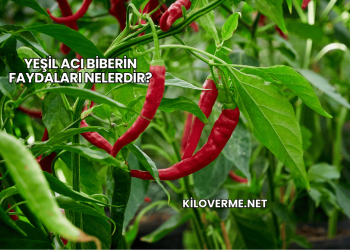 Yeşil Acı Biberin Faydaları Nelerdir?