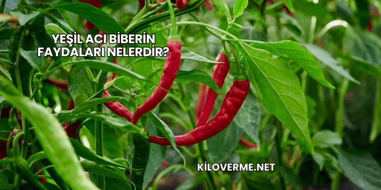 Yeşil Acı Biberin Faydaları Nelerdir?