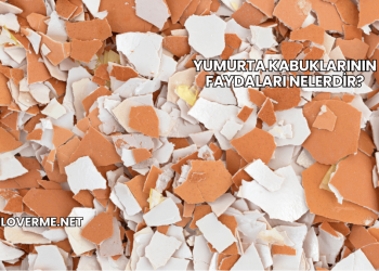 Yumurta Kabuklarının Faydaları Nelerdir?