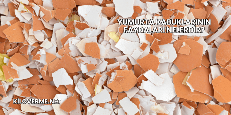 Yumurta Kabuklarının Faydaları Nelerdir?