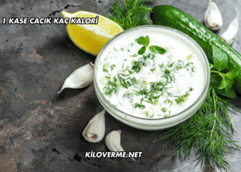 1 Kase Cacık Kaç Kalori