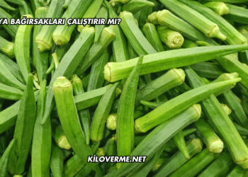Bamya Bağırsakları Çalıştırır mı?