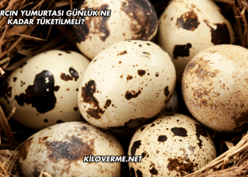Bıldırcın Yumurtası Günlük Ne Kadar Tüketilmeli?