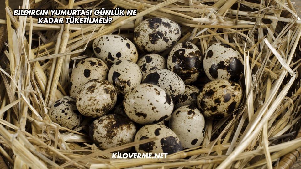 Bıldırcın Yumurtası Günlük Ne Kadar Tüketilmeli?