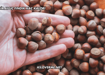 Bir Avuç Fındık Kaç Kalori