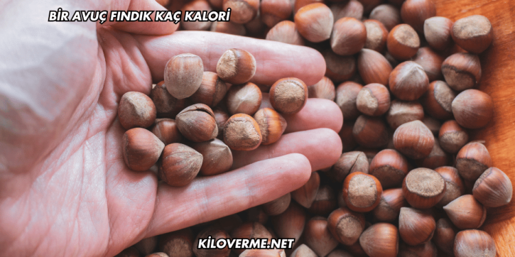 Bir Avuç Fındık Kaç Kalori